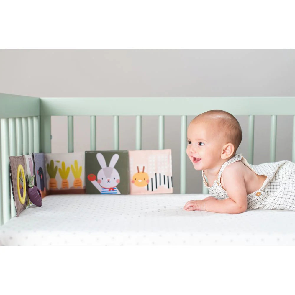 Taf toys pram book on sale