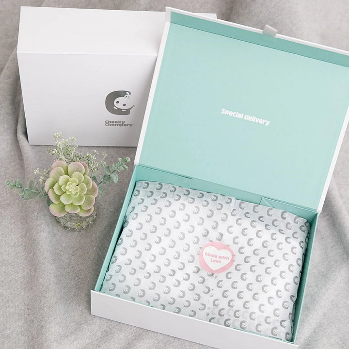 Cheeky Chompers Chewy Hippo Teething Gift Box - Sage