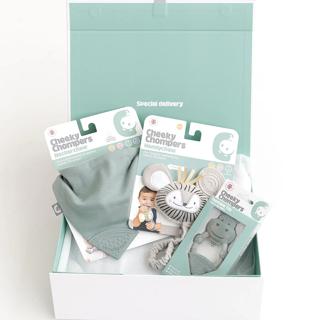 Cheeky Chompers Chewy Hippo Teething Gift Box - Sage