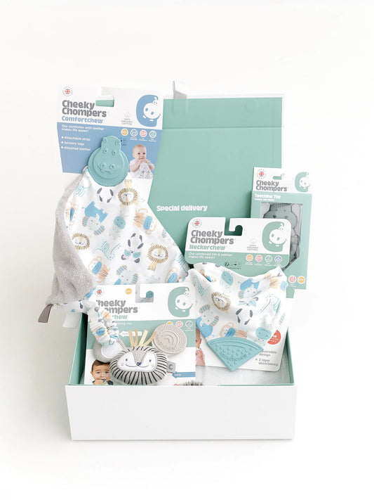 Cheeky Chompers Comfort & Chew Gift Box - Cheeky Animals