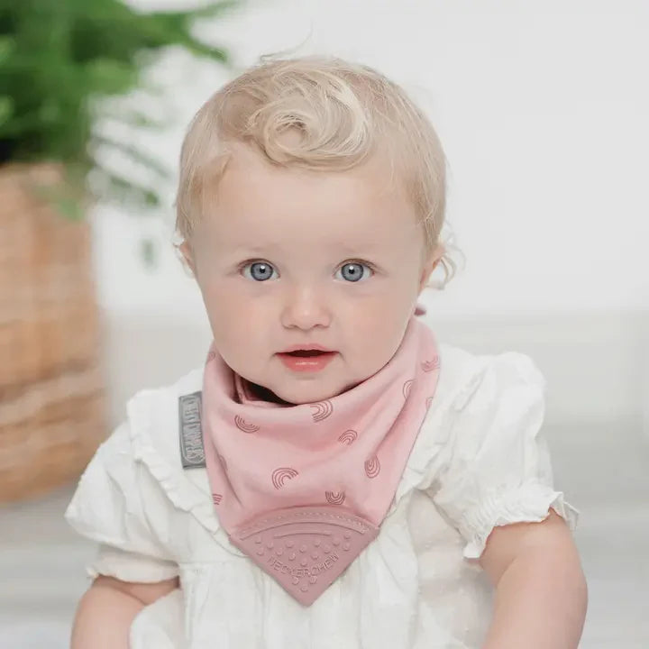 Cheeky Chompers Neckerchew Teething Dribble Bib - Rainbow Rose