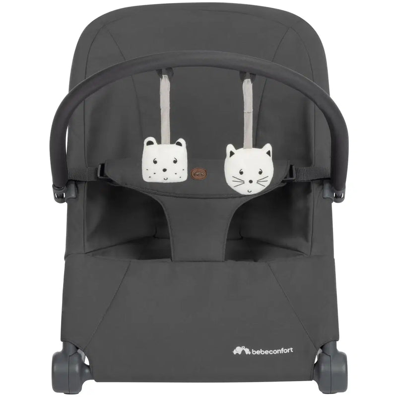 Bebeconfort Aster Rocker - Tinted Graphite