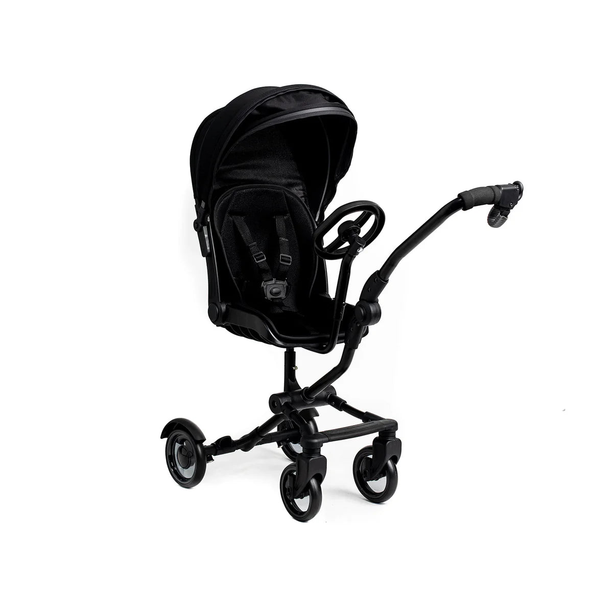 Roma Side Rider Buggy Board