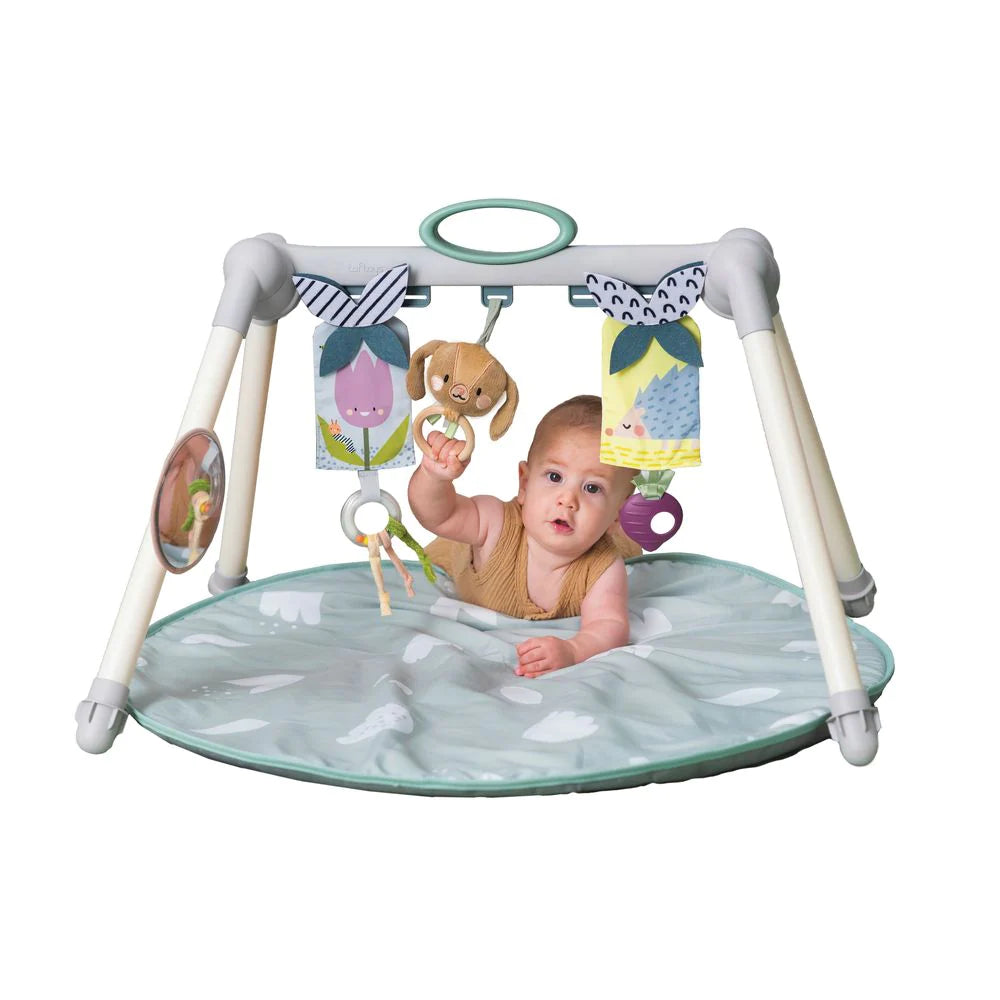 Taf Toys Urban Garden Foldable Baby Gym