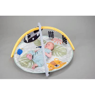 Taf toys newborn gym on sale