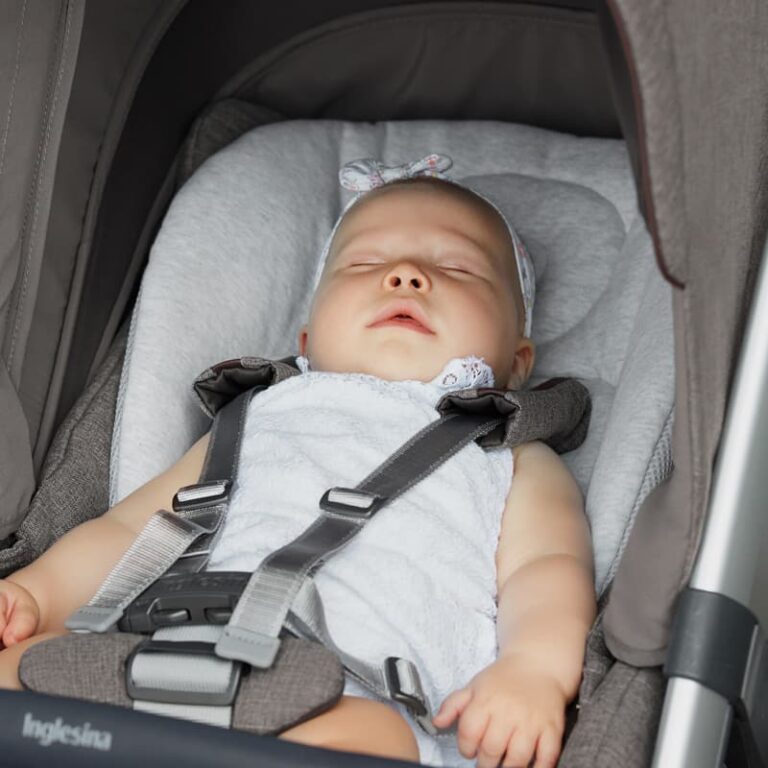 Inglesina Baby Snug Pad