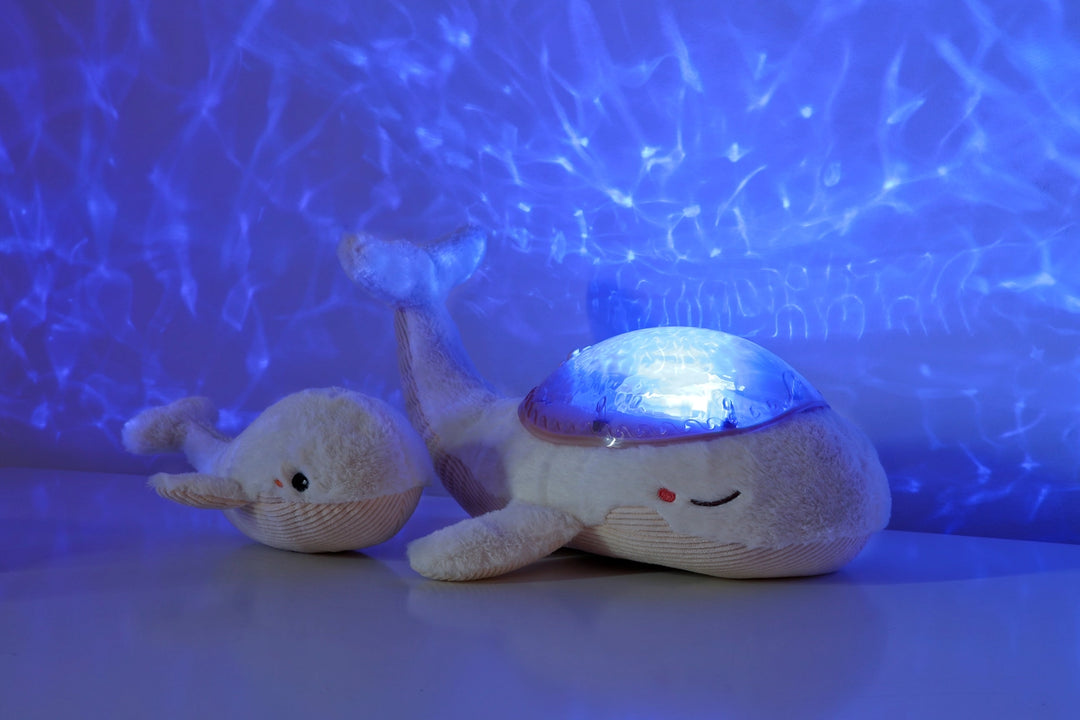Cloud B Tranquil Whale Projector, Night Light & Sound - White