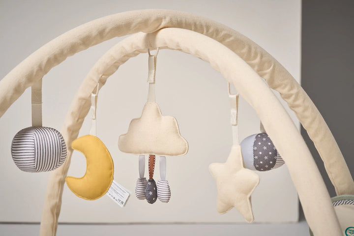 Minidream Baby Play Mat & Gym with Tummy Time Cushion