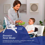 Chicco Chairy Booster Seat - Bunny