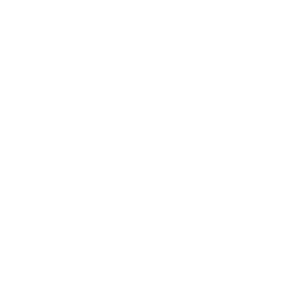 Support An Independent Store