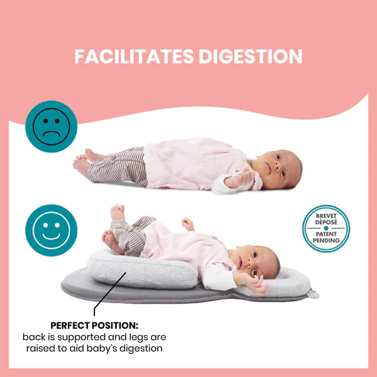 Babymoov Cosydream Newborn Lounger 0-3m - Smokey