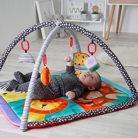 Redkite Wild Safari Play Gym