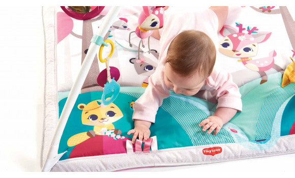 Tiny Love Gymini® Deluxe - Tiny Princess Tales™